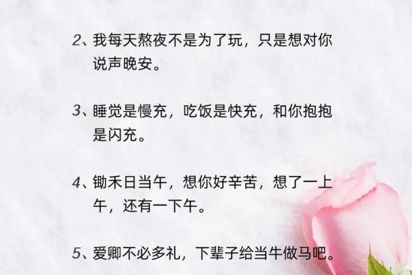 十二星座如何撩小姐姐的情话