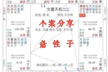 江苏紫微斗数 紫微斗数官网？