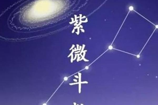 紫薇斗数看胖瘦