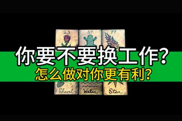塔罗测试你需要换工作吗？