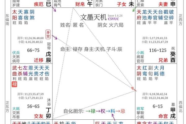紫薇斗数子斗戌