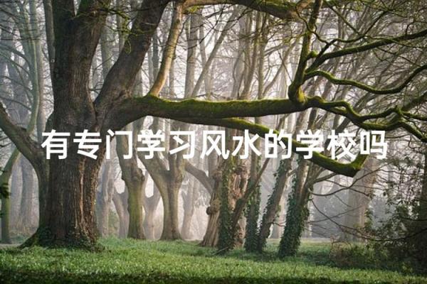 风水建筑_哪个大学有建筑风水学这个专业