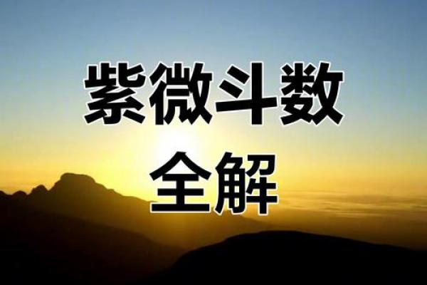 我的之一本紫薇斗数书