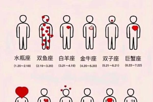 星座是12年一个轮回吗