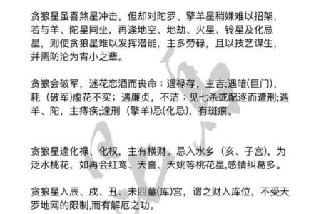 紫微斗数之事业宫与诸星，贪狼星在事业宫是什么意思？