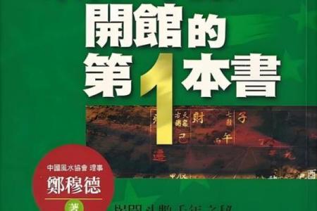 我的之一本紫薇斗数书