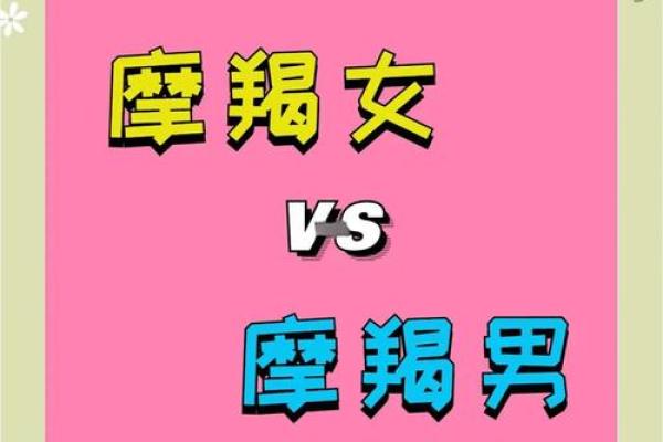 摩羯座跟哪个星座适合谈恋爱