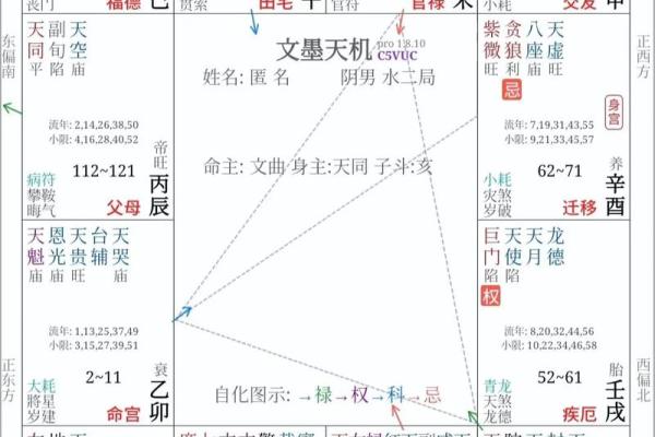 紫薇斗数如何看智力 紫薇斗数如何看智力