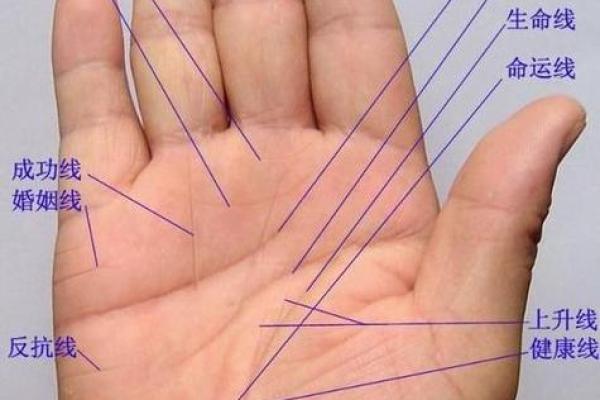 手线算命