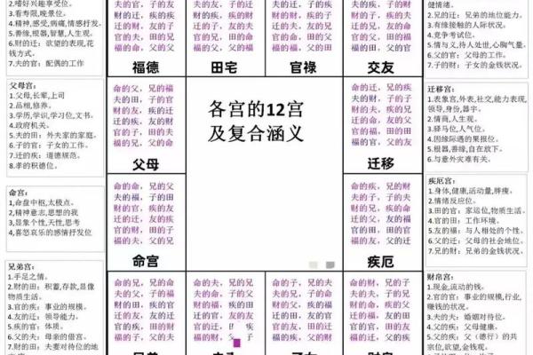 紫薇斗数忌星入十二宫