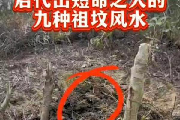 祖坟风水不注意对后代的影响 祖坟风水不注意对后代的影响