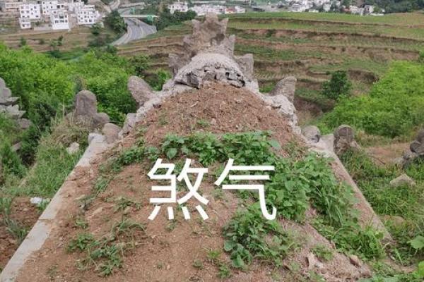 老房子西边有坑风水