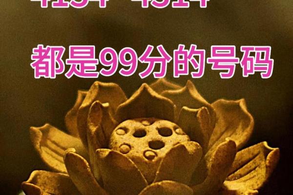 测试一下手机号码吉凶