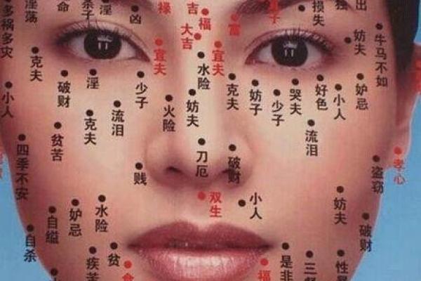 脸上胎记算命图解 脸上胎记算命图解