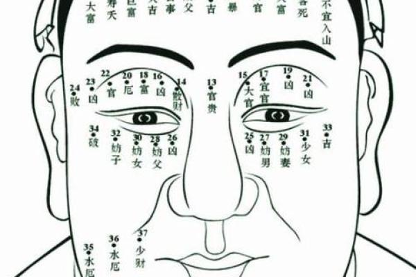 脸上胎记算命图解 脸上胎记算命图解