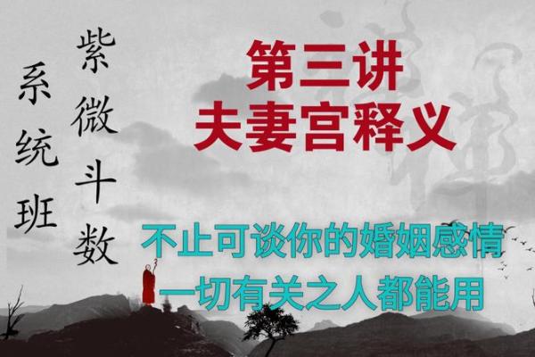 紫薇斗数夫妻宫凤阁 紫薇斗数夫妻宫凤阁