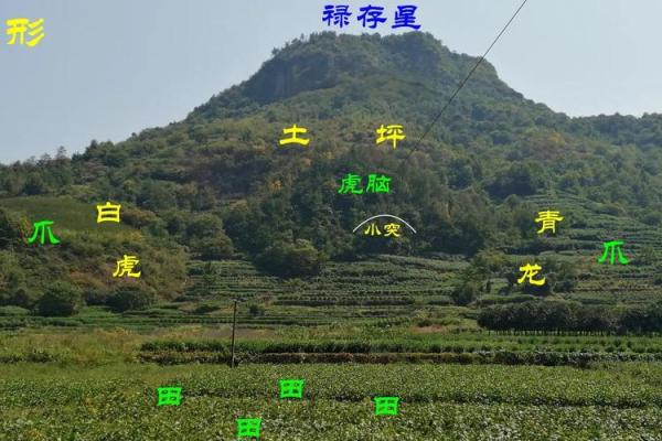 前山后河的房子风水 前山后河的房子风水