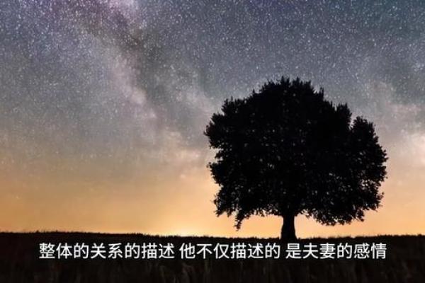 紫薇斗数婚姻墓 紫薇斗数婚姻墓