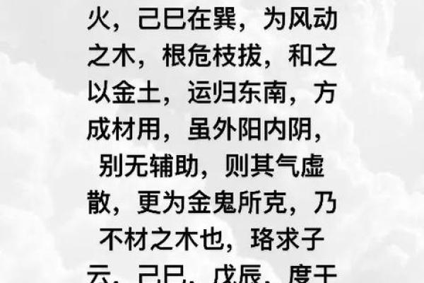 纳音八字 纳音八字