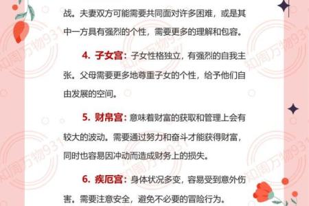 紫薇斗数忌星入十二宫