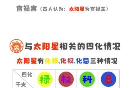 紫薇斗数14颗星代表什么