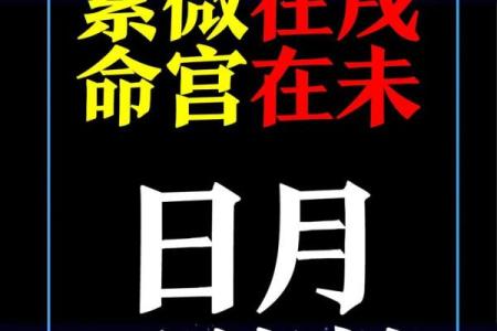 周易紫微斗数——五行职业论