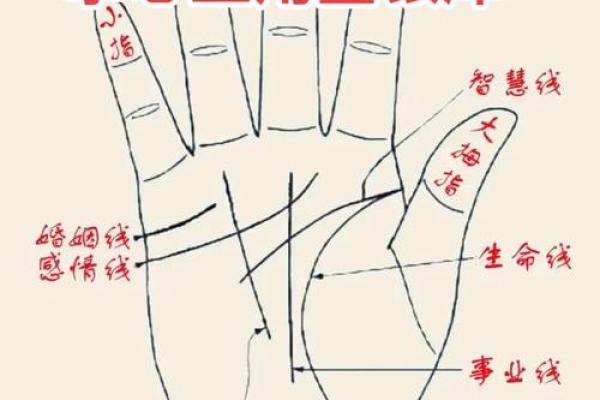 川字掌算命分析