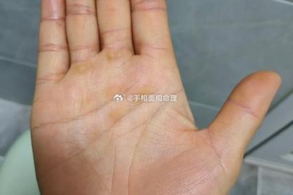 川字掌算命分析