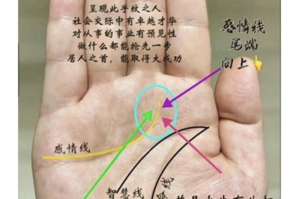 看手相算命：第五课 论健康