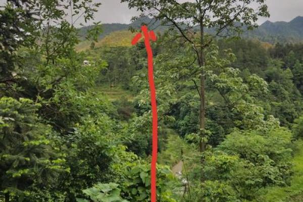 风水讲座视频_怎么总是打上封建迷信的审核结果