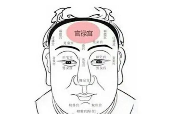 有关印堂面相算命图解