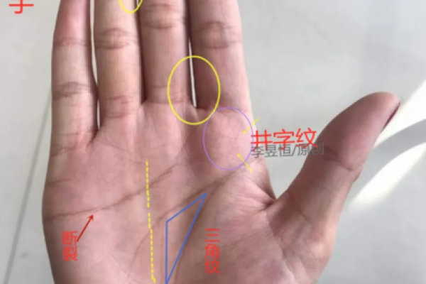 穿越开局得到算命能力 穿越开局得到算命能力