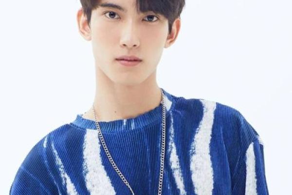 泰国紫薇星是那个明星