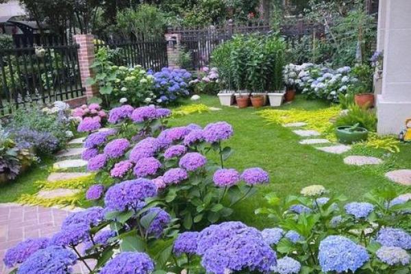 种满月季的房子风水好吗