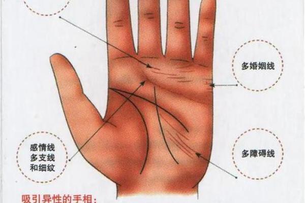 梦见看手相算命 梦见看手相算命