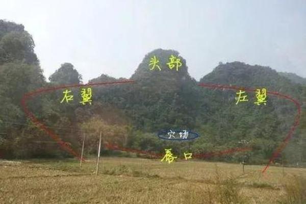 助旺后人,祖坟风水如何看好坏 助旺后人,祖坟风水如何看好坏