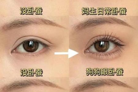 卧蚕眉面相算命图解