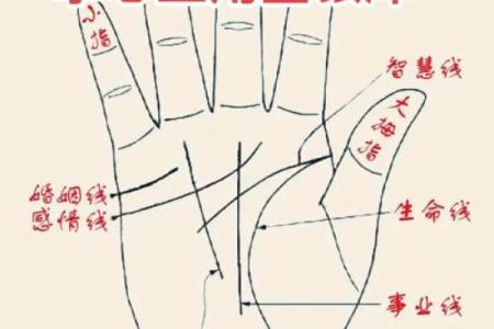 川字掌算命分析