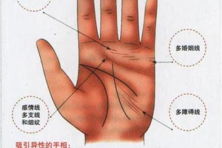 梦见看手相算命