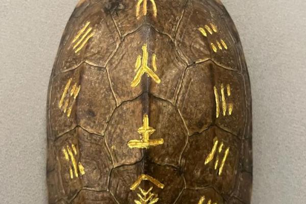 摇卦算命准吗 摇卦算命准吗