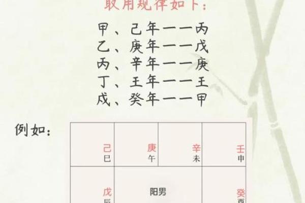 【紫微斗数】排盘技巧037：紫微斗数的国际交流