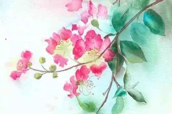 紫薇斗数水墨 紫薇斗数水墨