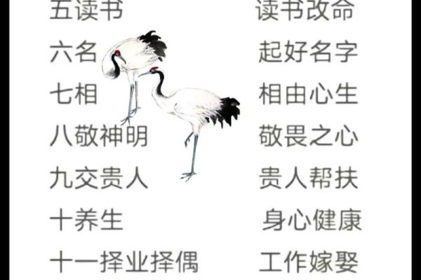 如何风水_一命二运三风水