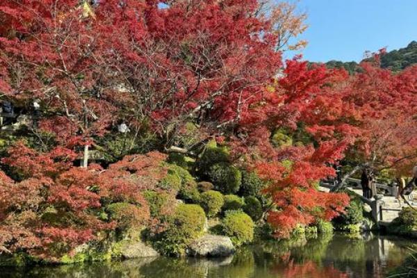 日清水寺灵签 日清水寺灵签