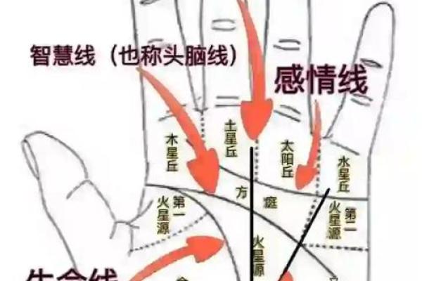 图解：手相障碍线算命