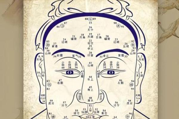 紫微斗数诸星落诸宫之:天相星官禄宫详解 紫微斗数诸星落诸宫之:天相星官禄宫详解