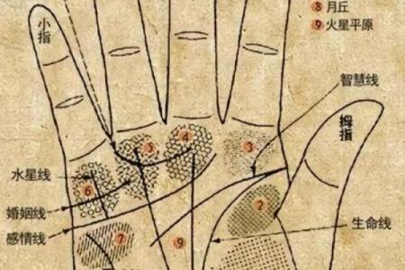 图解：手相障碍线算命