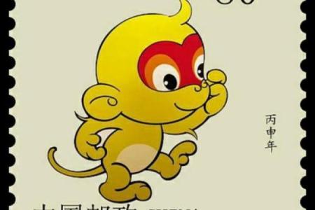 丙申年紫微斗数 丙申年运？