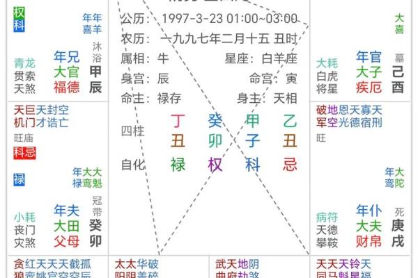 紫薇斗数与八字优缺点