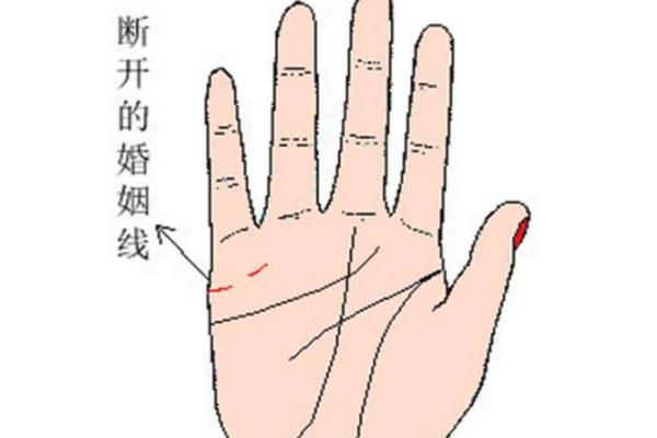 男人左手手相算命图解 婚姻线清晰无曲折象征幸福 男人左手手相算命图解 婚姻线清晰无曲折象征幸福